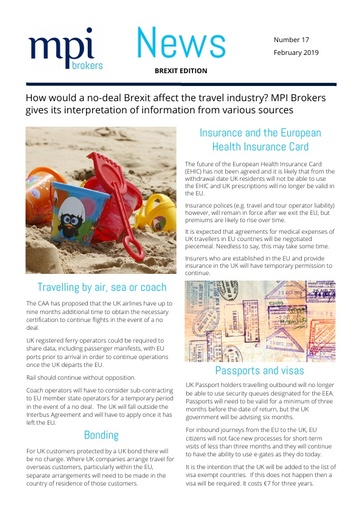 MPI Newsletter 17 - February 2019