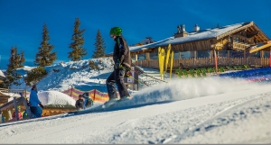 Save the Seasonaire survey results